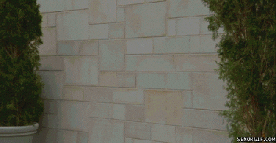 IMG_0707.gif
