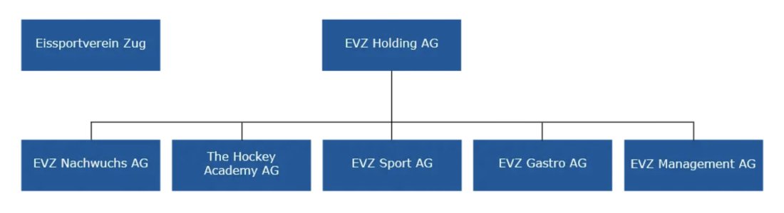 EVZ Struktur .jpeg