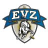 EVZ4Checks